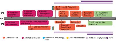 Case Report: C3 deficiency in two siblings